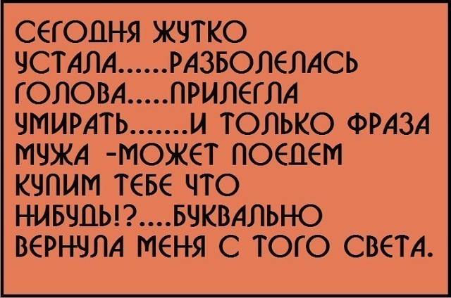 Бобер, увидев охотника, опознал на его голове пропавшего деда Бобер, увидев охотника, опознал на его голове пропавшего деда