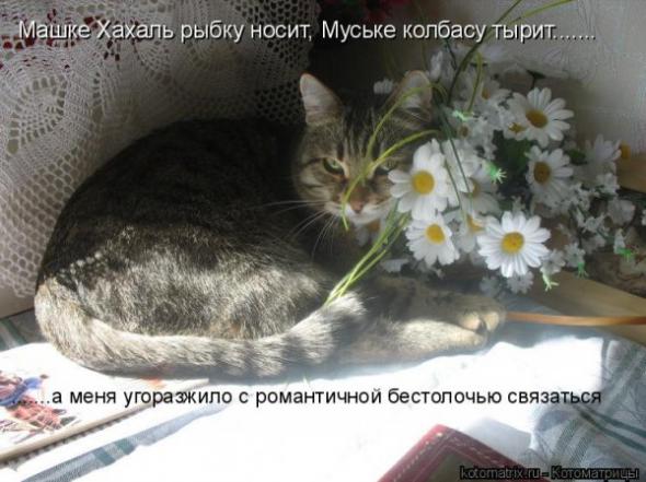    ( 2)