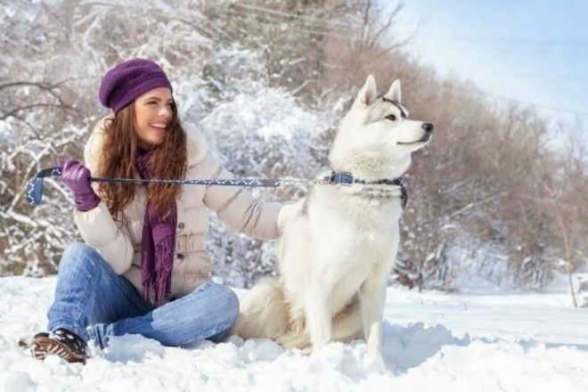 100 ВЕЩЕЙ ЗА КОТОРЫЕ МЫ БЛАГОДАРНЫ ЗИМЕ