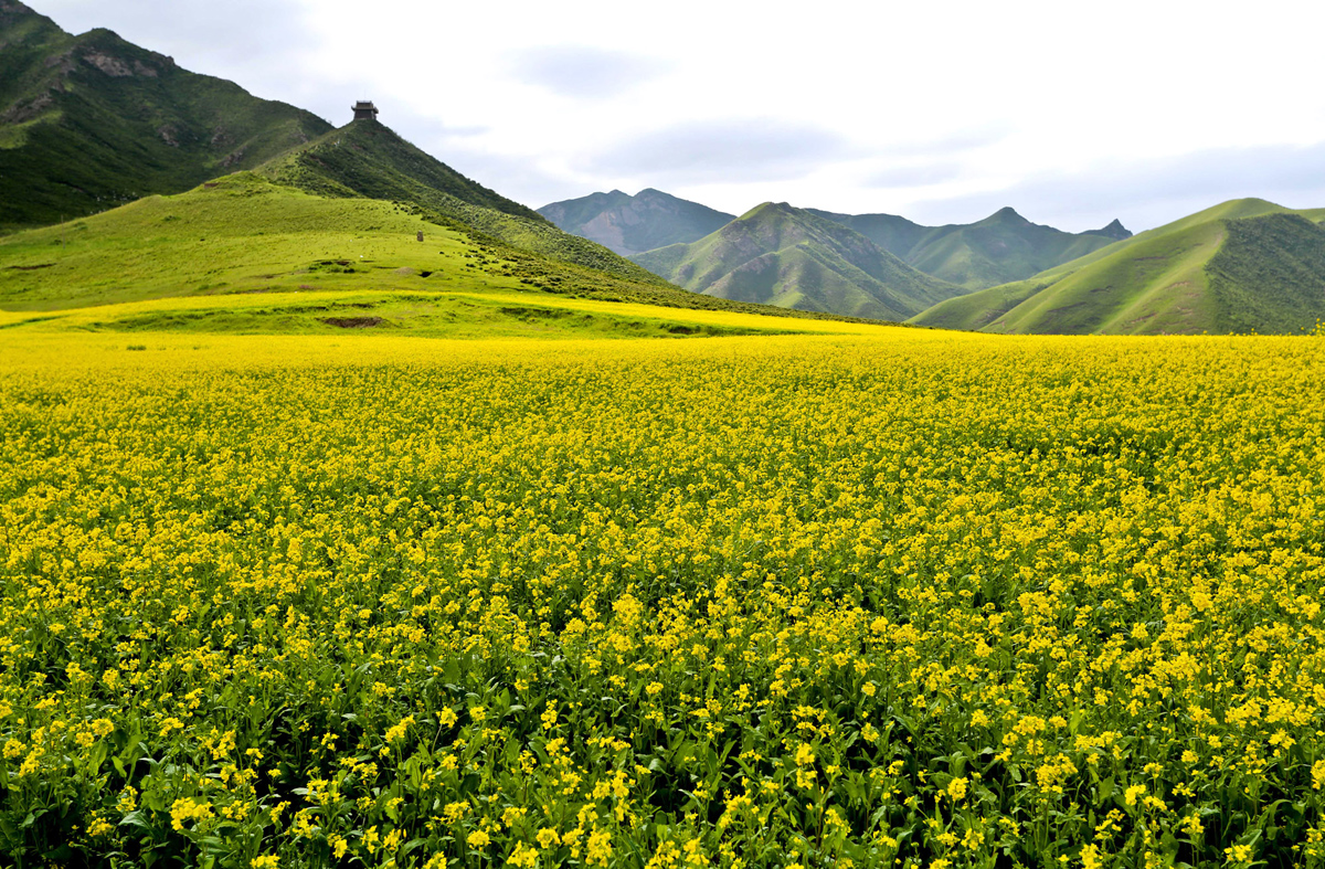 Peyzazhnye fotografii Gansu Kitay 3