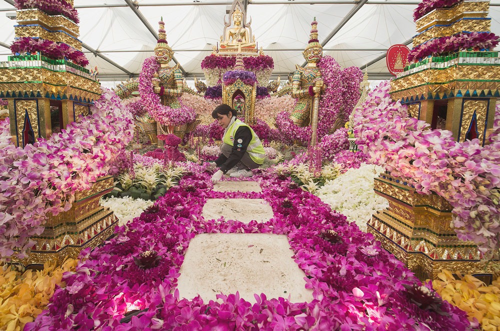 Впечатляющие фото с Chelsea Flower Show 2015