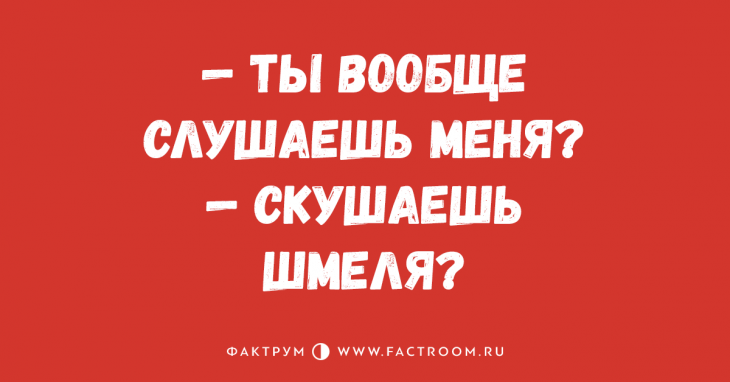 Улётная подборка анекдотов, поднимающая настроение за пару минут Улётная подборка анекдотов, поднимающая настроение за пару минут