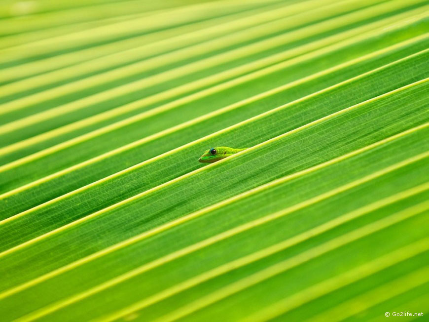 25 лучших фотографий National Geographic. Часть 2