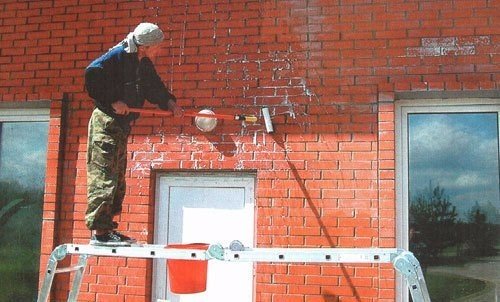 ЧТО ТАКОЕ ВЫСОЛЫ И КАК С НИМИ БОРОТЬСЯ?