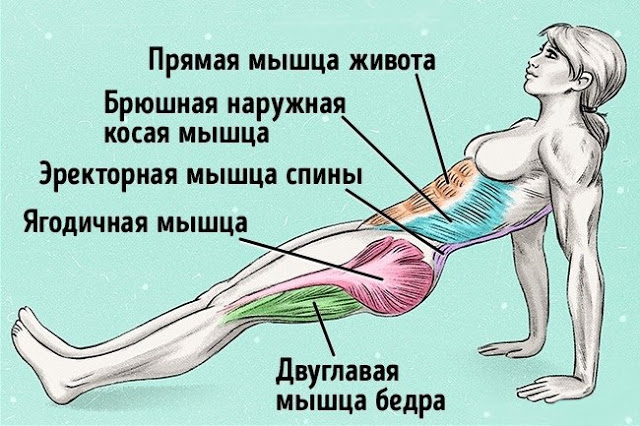 УПРАЖНЕНИЕ, ЧТОБЫ СЖЕЧЬ ЖИР И ИСПРАВИТЬ ОСАНКУ