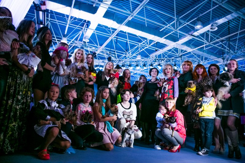 Забавный Backstage шоу маленьких собачек на на «Artpodium 2015» Забавный Backstage шоу маленьких собачек на на «Artpodium 2015»