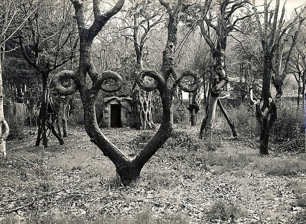 Алекс Эрландсон и его необычные деревья...