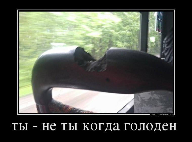 Ты не ты когда голоден! Ты не ты когда голоден, позитив, прикол, юмор