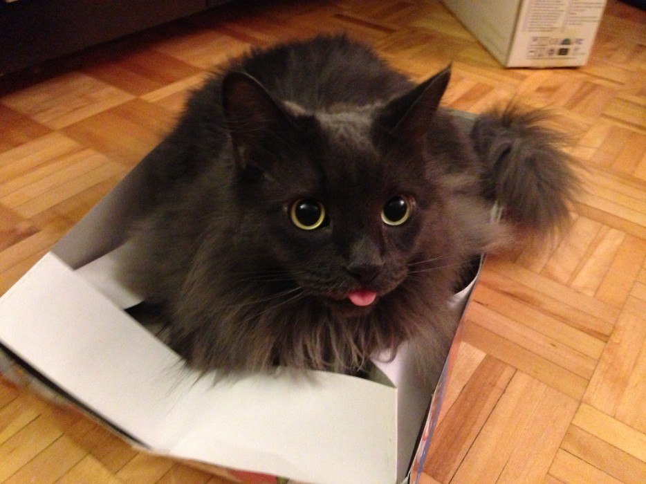 Показываю языке из коробки.