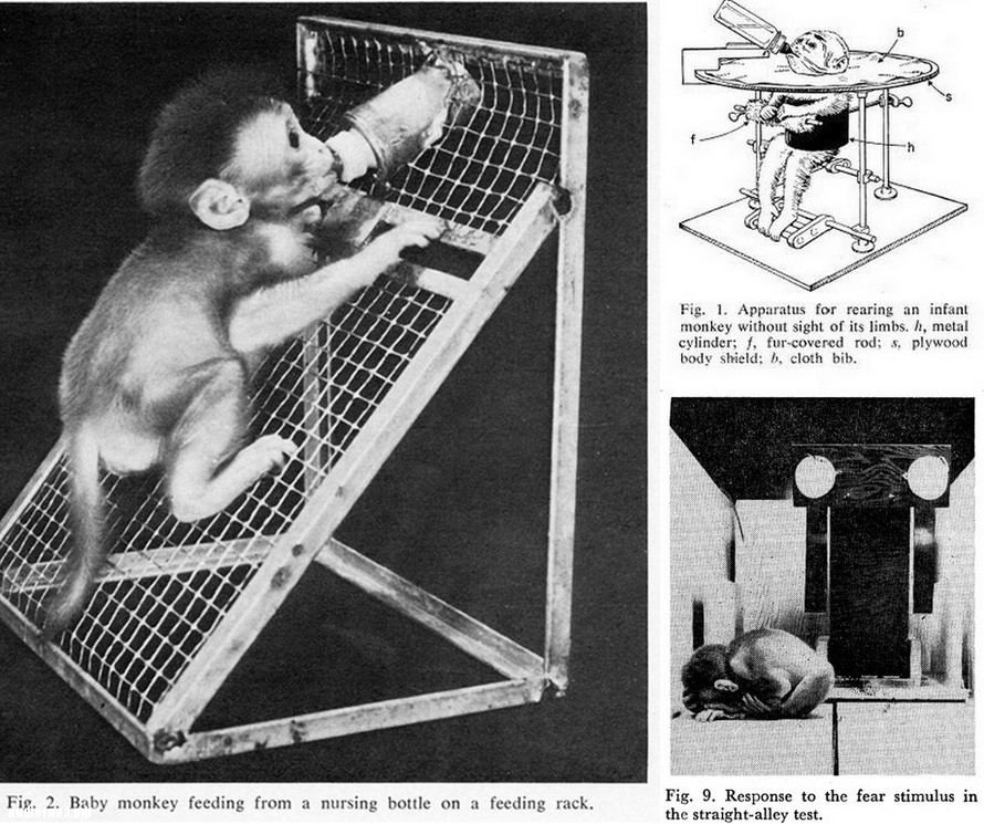 Темная сторона открытий Гарри Харлоу (Harry Harlow)