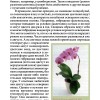 Орхидеи.page109