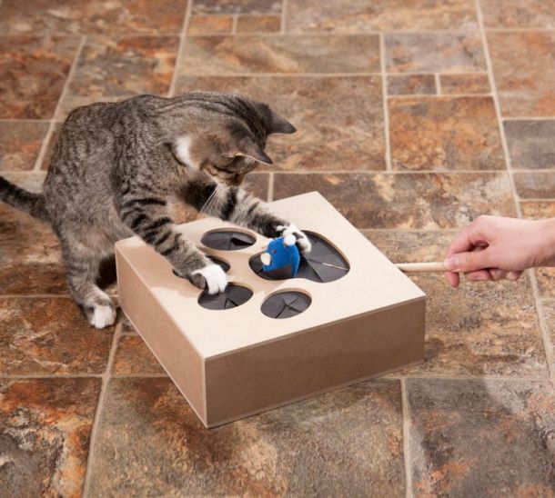 http://goodsi.ru/wp-content/uploads/2014/12/Whack-A-Mouse-Cat-Toy.jpg