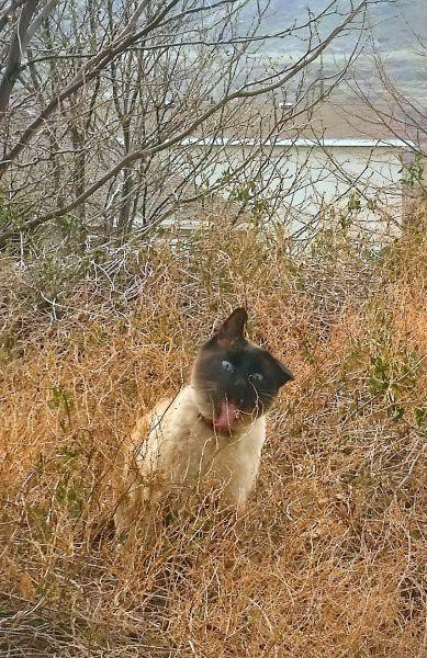 Подборка картинок Подборка картинок картинки, приколы