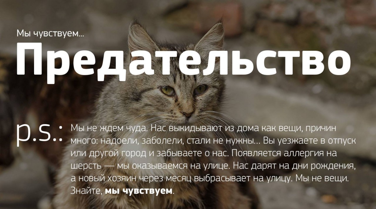 Мы чувствуем