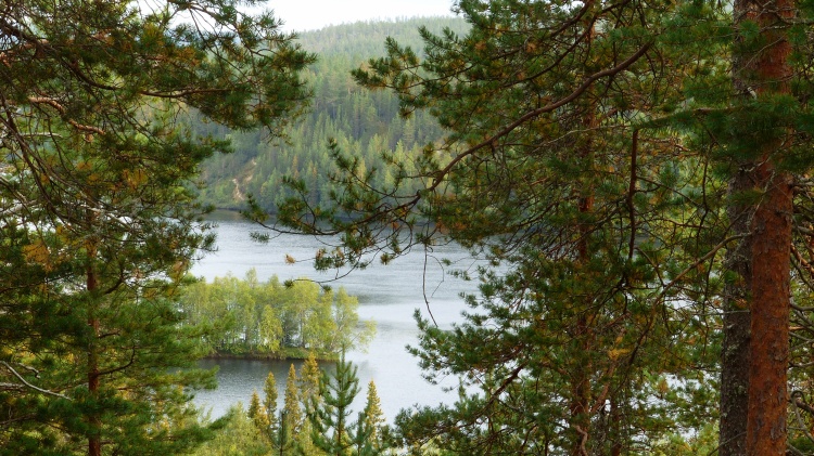 Лапландия и спасение Санта Лапландия и спасение Санта