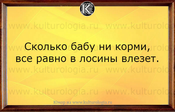 20 весёлых открыток для хорошего настроения, которые улыбнут любого, даже в самый пасмурный день