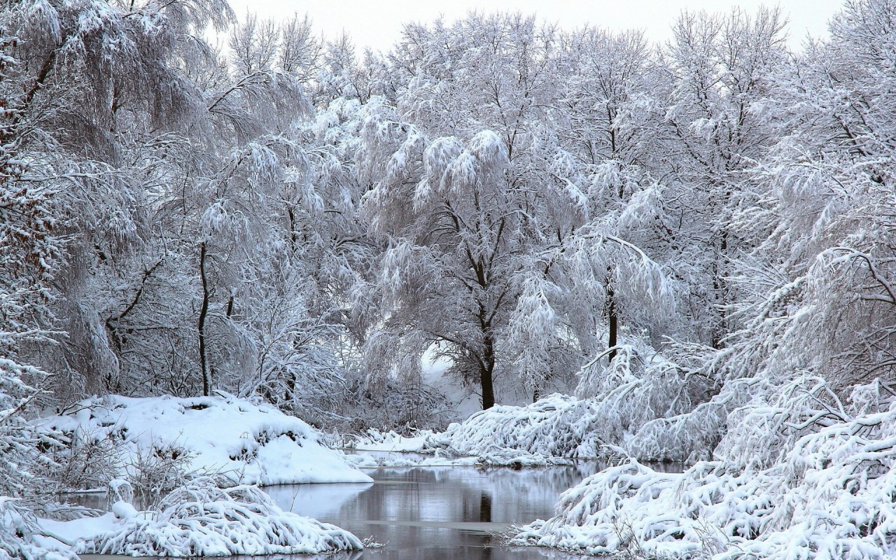 Зимние пейзажи Зимние пейзажи