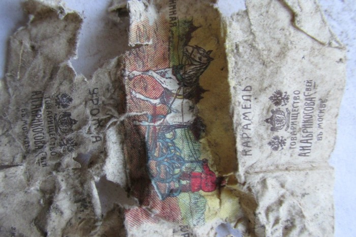 «Птичий архив» под крышей Успенского собора (48 фото)