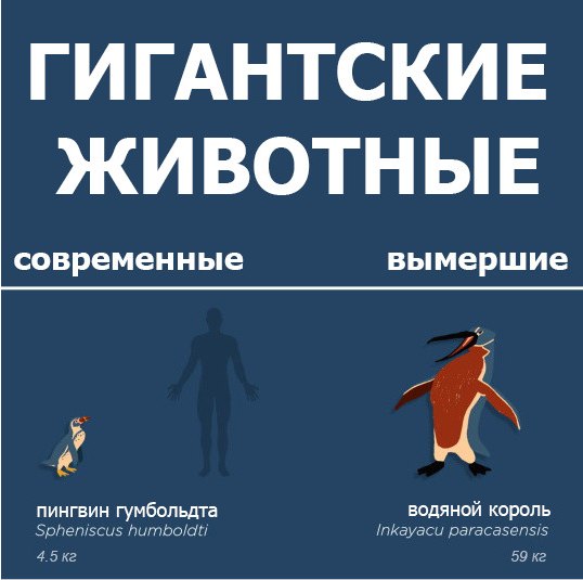 Доисторические животные в сравнении с современными