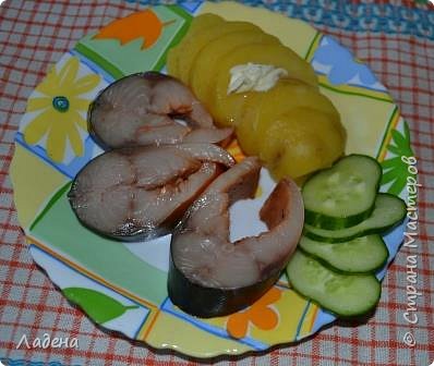 Кулинария Мастер-класс Рецепт кулинарный Улётная Скумбрия без жидкого дыма и прочих трудностей Продукты пищевые фото 18
