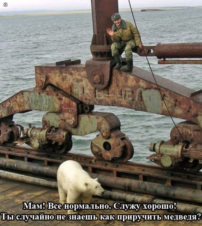Фотографические прикольности 7