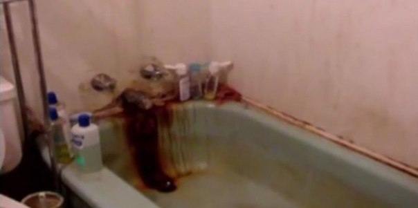 Мужчина в соседнем доме через окно увидел худое, бледное лицо. Трудно поверить в то, что полиция нашла внутри...