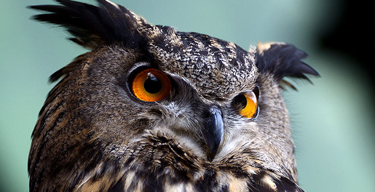 11 вещей, которые должен услышать мужчина в депрессии