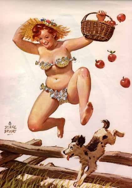  pin-up        .