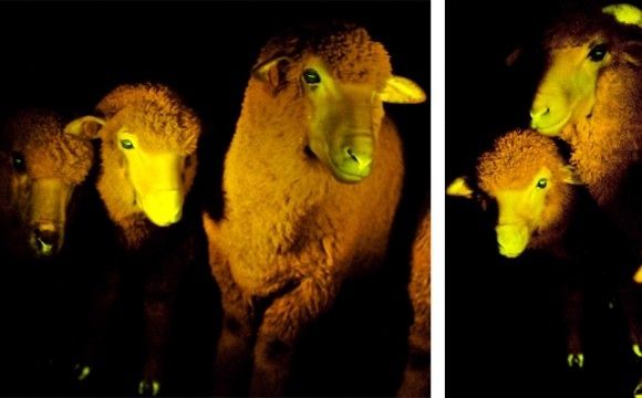 технологии, будущее, изобретения, гаджеты