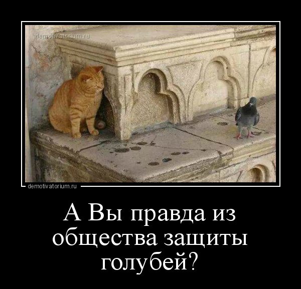 Демотиваторы + прикольные картинки | 2015-12-16 Демотиваторы + прикольные картинки | 2015-12-16