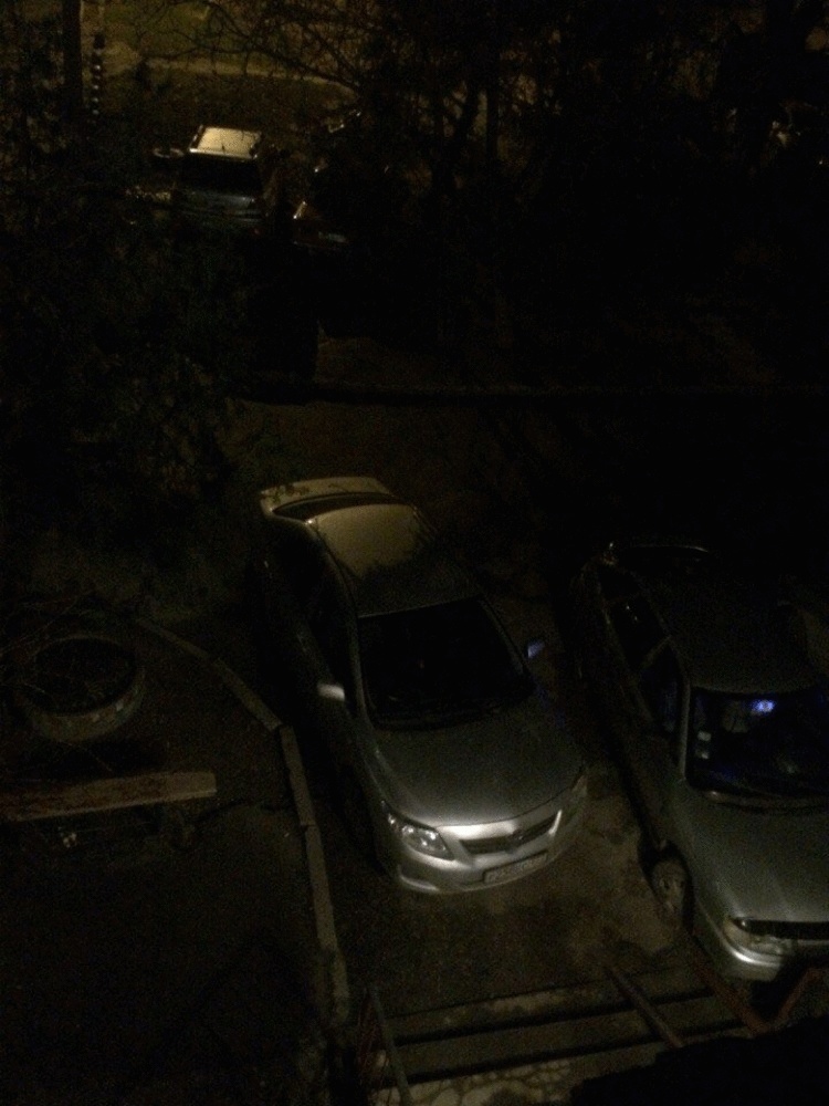 Вот хозяева двора, в голове у них дрова