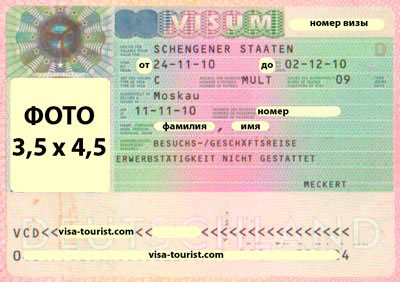 виза