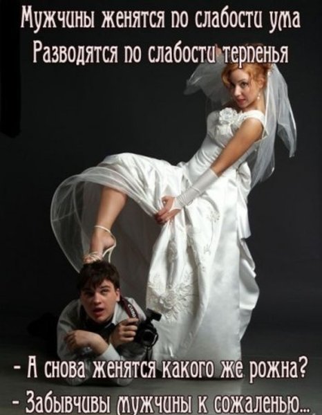 Как сделать овечий сыр Как сделать овечий сыр
