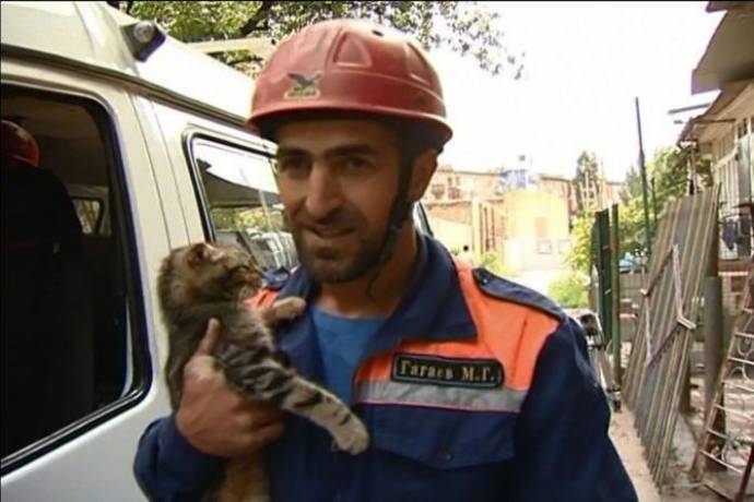 В Дагестане спасли кота, неделю просидевшего на дереве