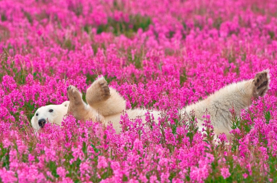 25 поразительных фотографий 25 поразительных фотографий