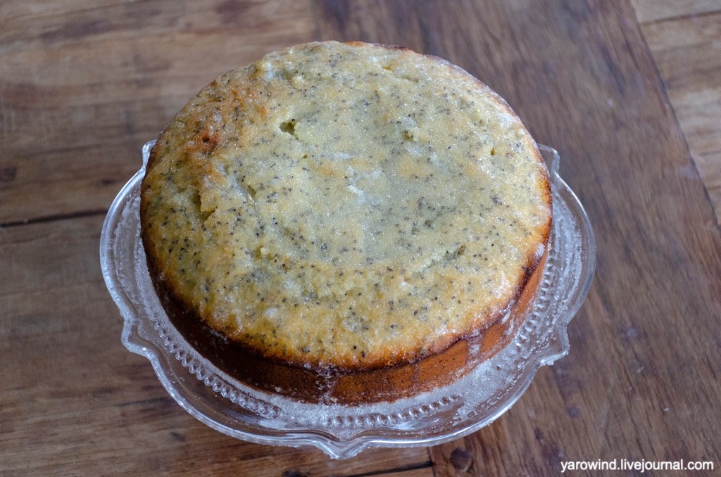 DSC_9933.jpg DSC_9933.jpg