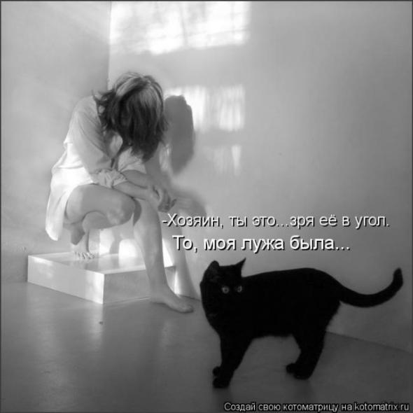 Котоматрицы (картинки с надписями)