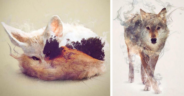 Удивительные фотографии с двойной экспозицией дым, животное, природа