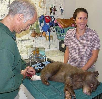 Мохнатый пациент 