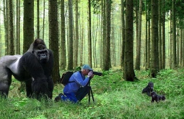 Фотографии, сделанные за секунду до...