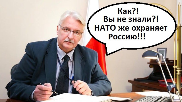 МИД Польши: НАТО, расширяясь на Восток, охраняет Россию  #вотэтоповорот