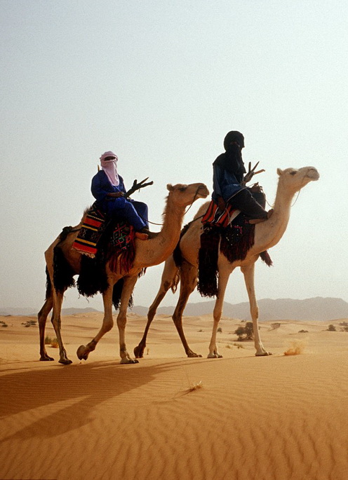 Туареги - африканский кочевой народ