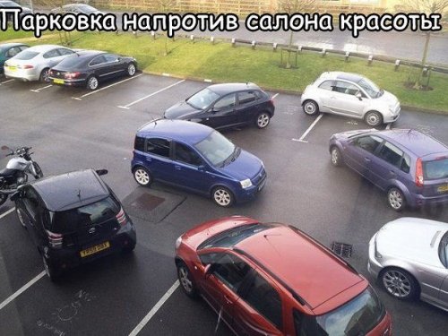 Приколы про женщин к 8 марта (28 фото)