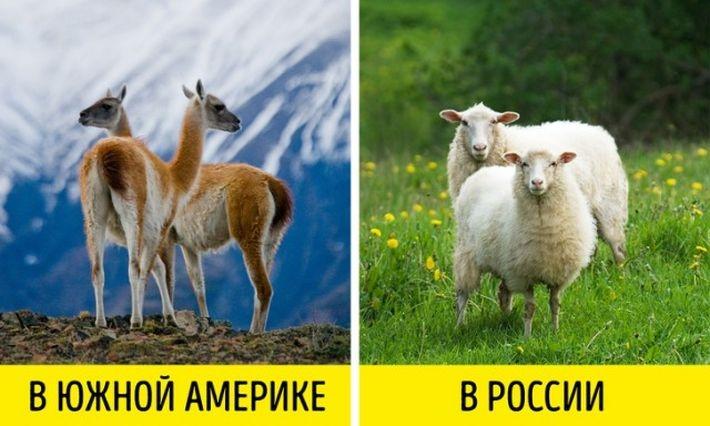13 ответов на самые интересные "Почему?" 13 ответов на самые интересные "Почему?"