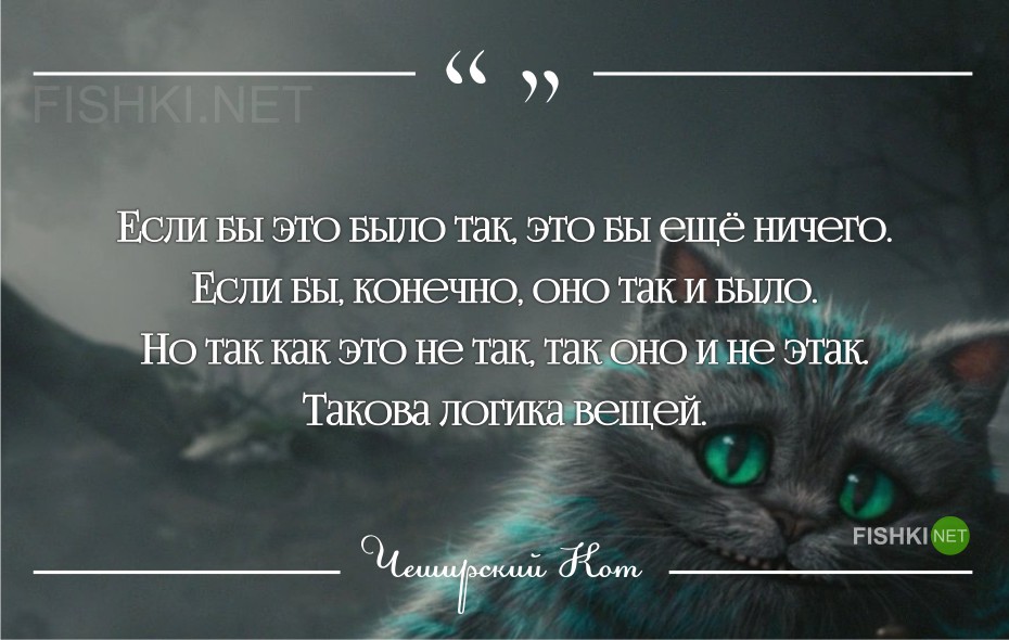 Алиса цитаты если бы было Алиса цитаты если бы было