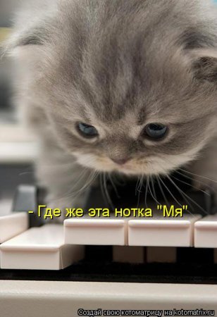 ��������� ����������� ������������..