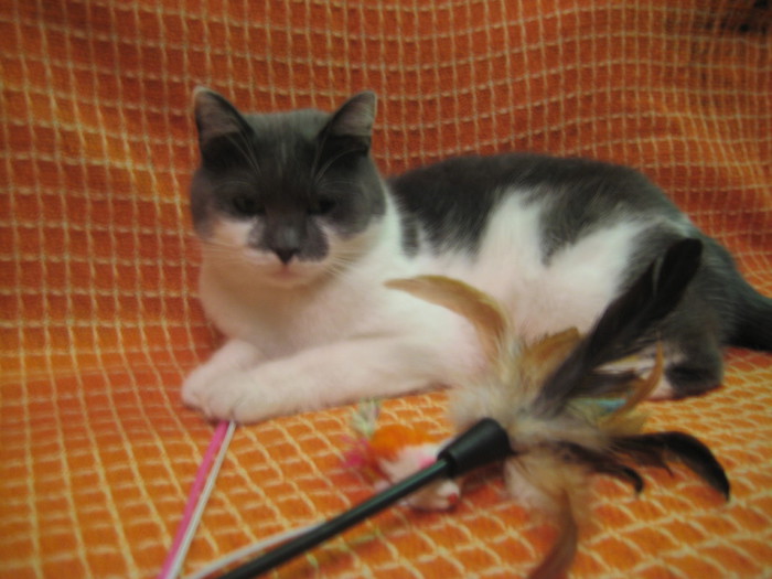 3045391_kras3 (700x525, 84Kb)