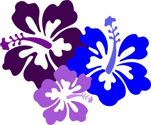 Hawaiian Flower Clip Art | Hibiscus 23 clip art - vector clip art online, royalty free  public ...: 