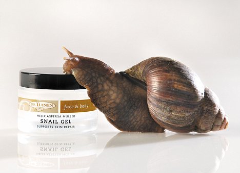snail-gel