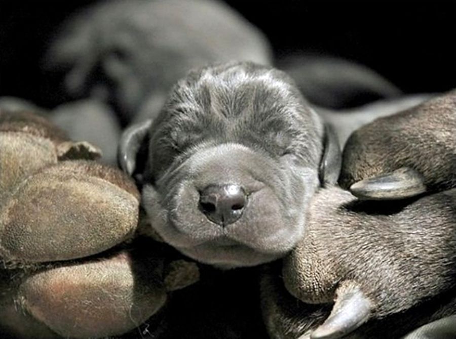 NewPix.ru - ������������ ���������� ��������